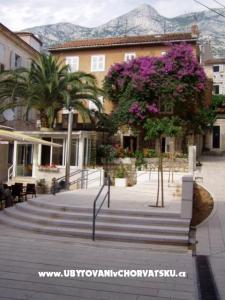 Apartmanok Potts Point Makarska Horvátország