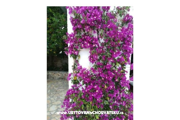 Apartmanok Monika – fotó 13